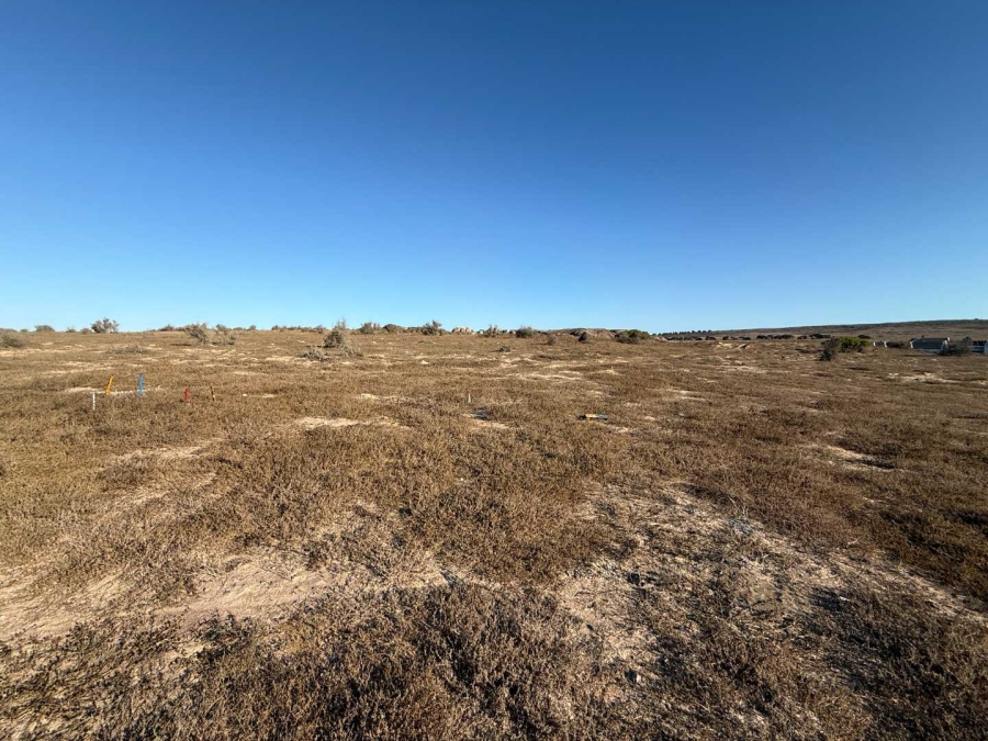 0 Bedroom Property for Sale in Langebaan Country Estate Western Cape